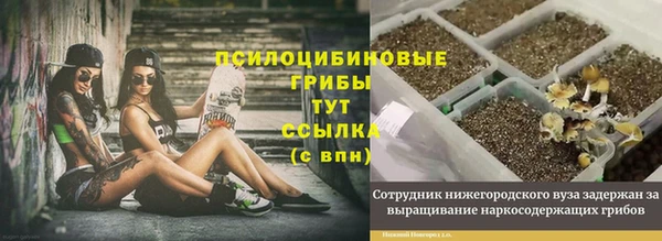 герыч Абинск