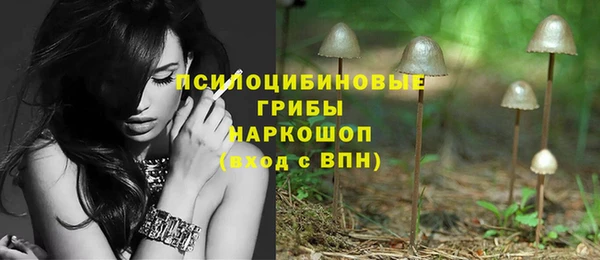 стаф Нефтегорск